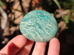 Polished Amazonite Palm Stones x 24 From Madagascar - Toprock Gemstones and Minerals 