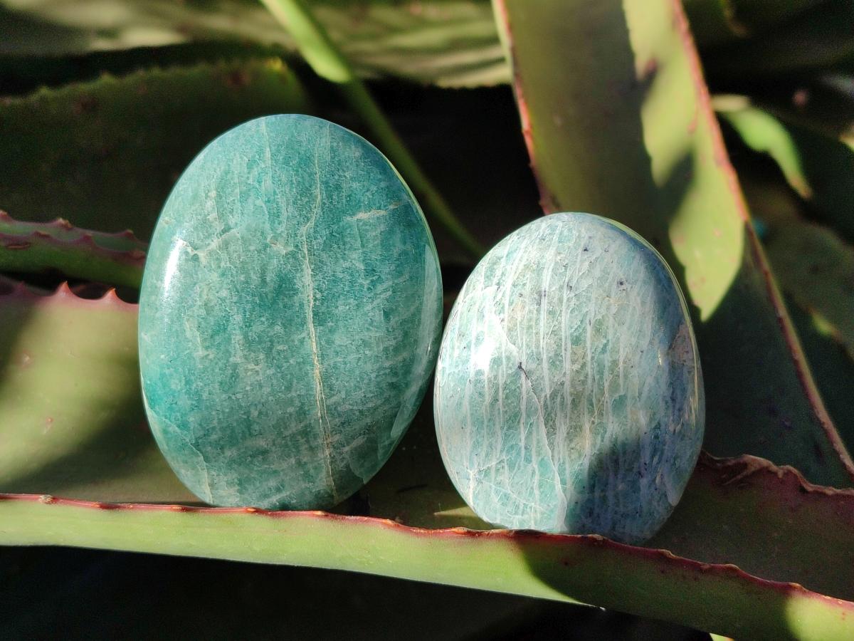Polished Amazonite Palm Stones x 24 From Madagascar - Toprock Gemstones and Minerals 