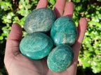 Polished Amazonite Palm Stones x 24 From Madagascar - Toprock Gemstones and Minerals 