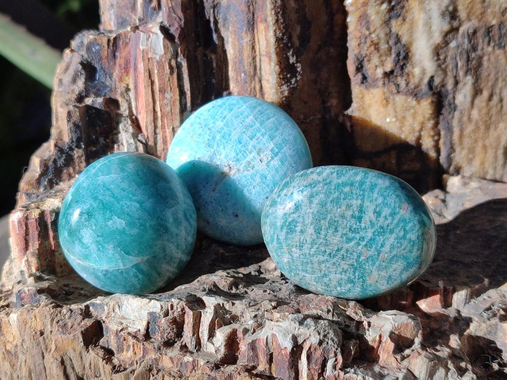 Polished Amazonite Palm Stones x 24 From Madagascar - Toprock Gemstones and Minerals 