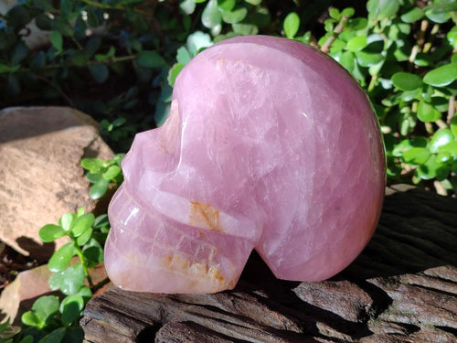 Hand Made XL Gemmy Rose Quartz Skull Carving x 1 From Madagascar - Toprock Gemstones and Minerals 