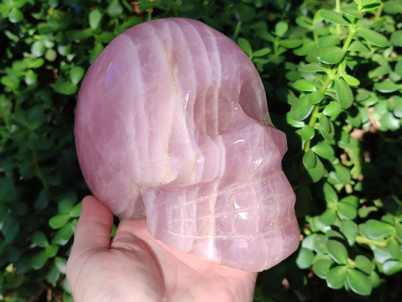Hand Made XL Gemmy Rose Quartz Skull Carving x 1 From Madagascar - Toprock Gemstones and Minerals 