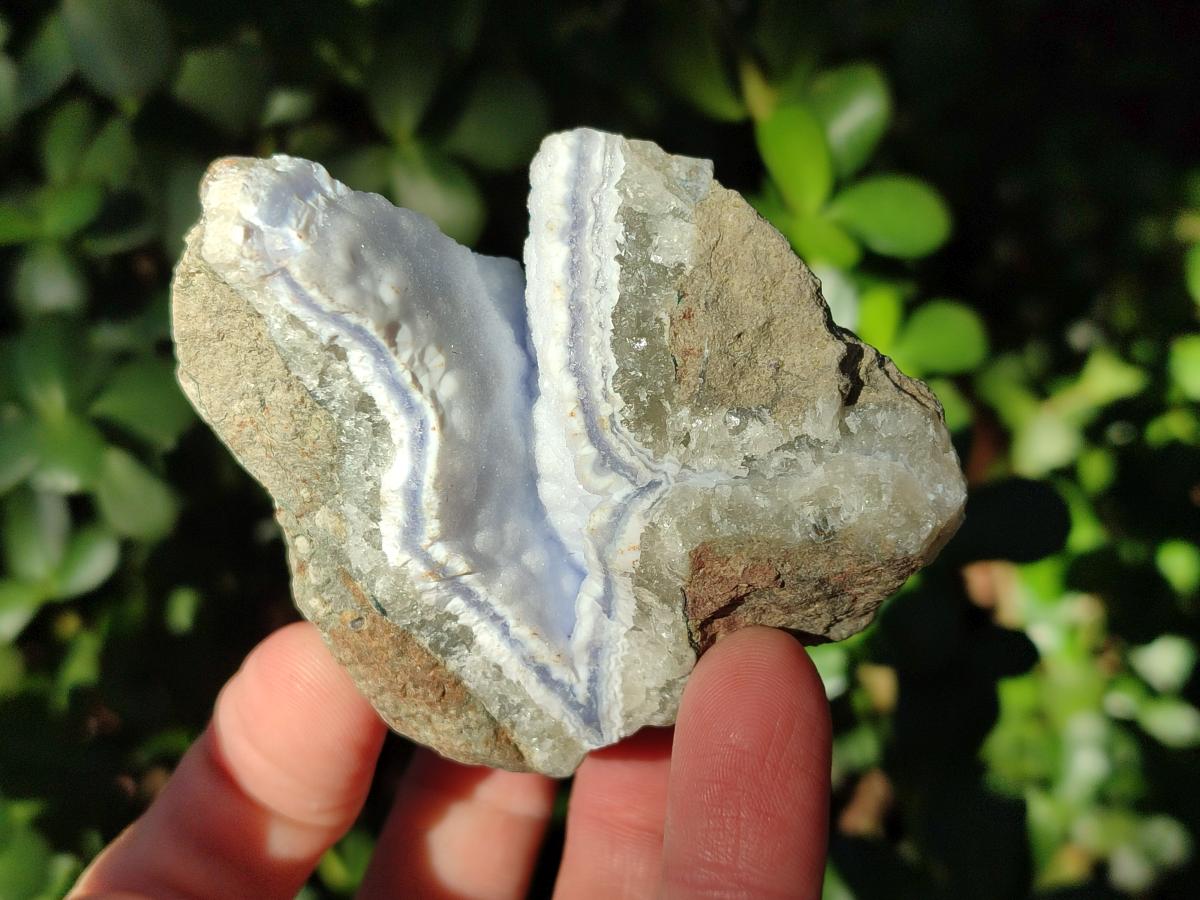 Natural Blue Lace Agate Geode Specimens x 6 From Nsanje, Malawi - Toprock Gemstones and Minerals 
