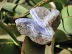 Natural Blue Lace Agate Geode Specimens x 6 From Nsanje, Malawi - Toprock Gemstones and Minerals 