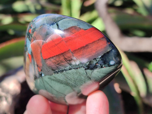 Polished Bloodstone Standing Display Pieces x 6 From Swaziland - Toprock Gemstones and Minerals 