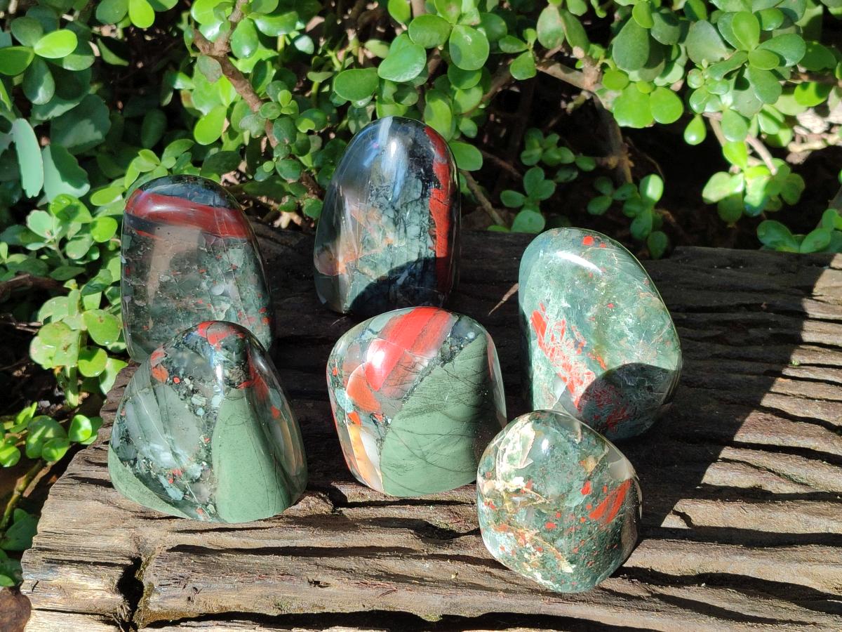 Polished Bloodstone Standing Display Pieces x 6 From Swaziland - Toprock Gemstones and Minerals 