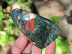 Polished Bloodstone Standing Display Pieces x 6 From Swaziland - Toprock Gemstones and Minerals 