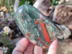 Polished Bloodstone Standing Display Pieces x 6 From Swaziland - Toprock Gemstones and Minerals 