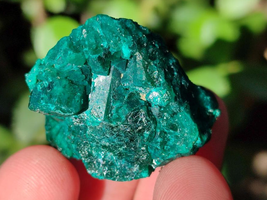 Natural Dioptase Specimens with Additional Minerals x 14 From Likasi, Congo - Toprock Gemstones and Minerals 