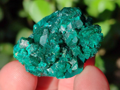 Natural Dioptase Specimens with Additional Minerals x 14 From Likasi, Congo - Toprock Gemstones and Minerals 