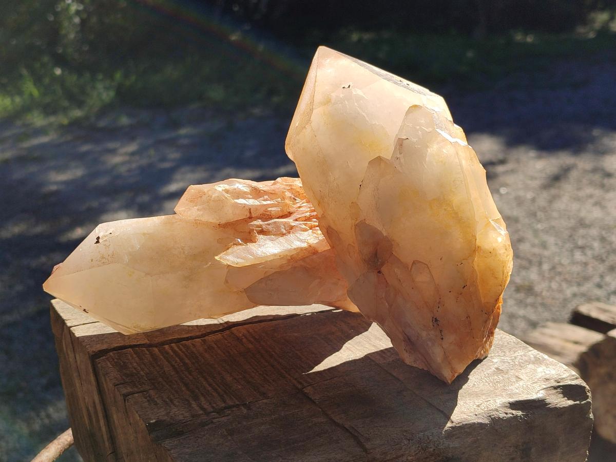 Natural Large Cascading "Anananas" Pineapple Quartz Crystals x 2 From Antsirabe, Madagascar - Toprock Gemstones and Minerals 