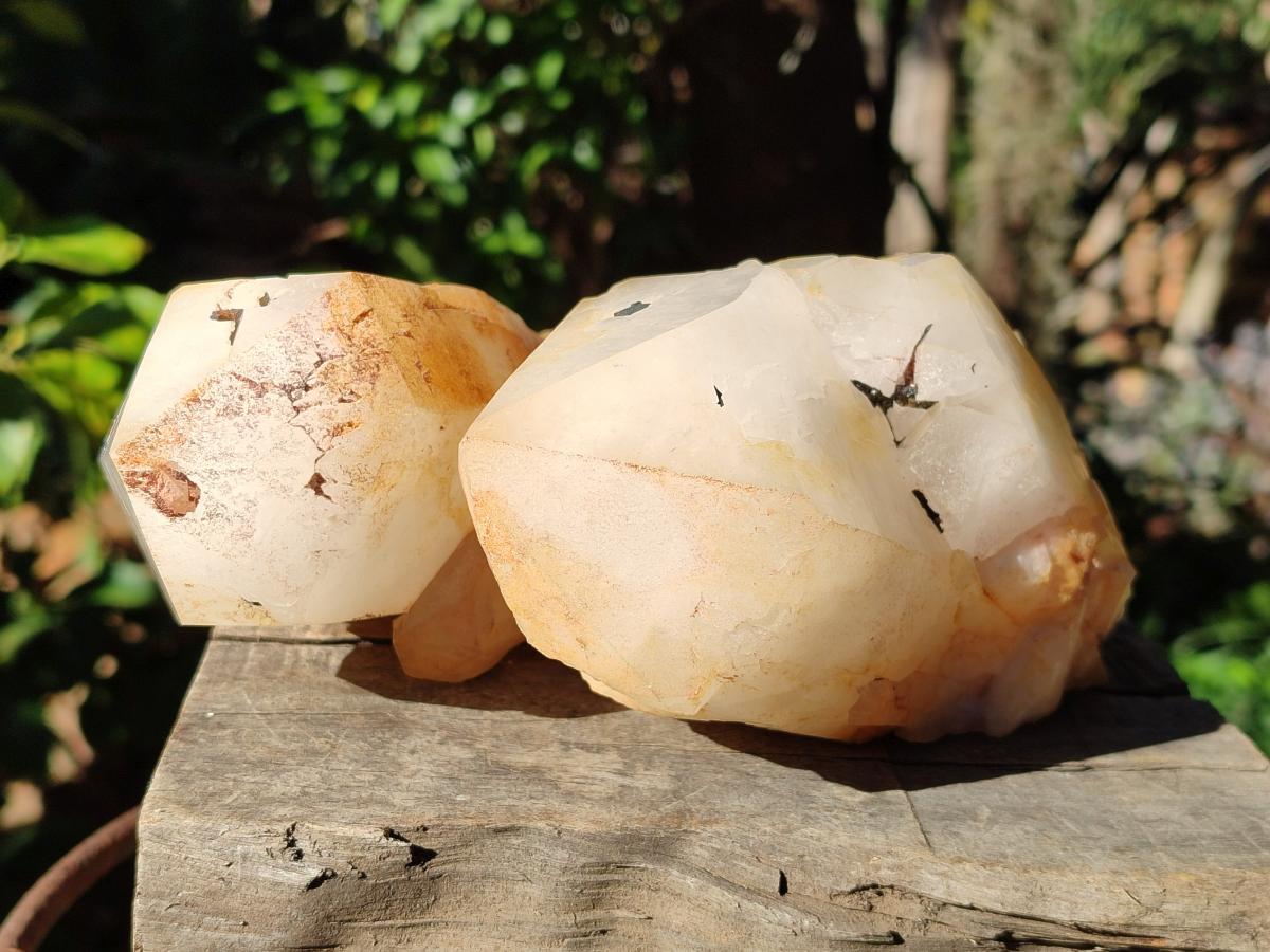 Natural Large Cascading "Anananas" Pineapple Quartz Crystals x 2 From Antsirabe, Madagascar - Toprock Gemstones and Minerals 