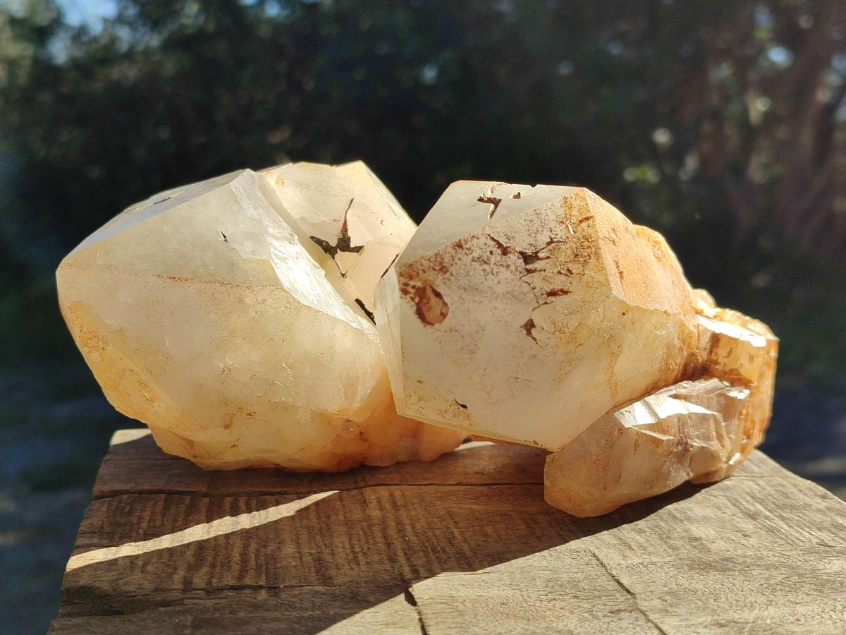 Natural Large Cascading "Anananas" Pineapple Quartz Crystals x 2 From Antsirabe, Madagascar - Toprock Gemstones and Minerals 