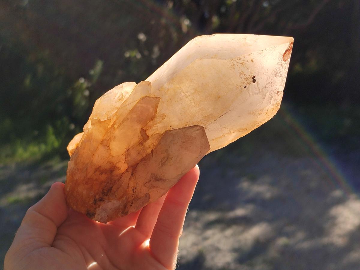 Natural Large Cascading "Anananas" Pineapple Quartz Crystals x 2 From Antsirabe, Madagascar - Toprock Gemstones and Minerals 