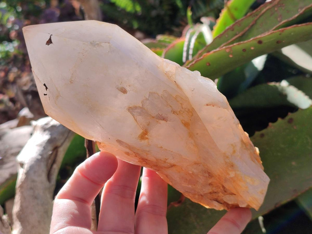 Natural Large Cascading "Anananas" Pineapple Quartz Crystals x 2 From Antsirabe, Madagascar - Toprock Gemstones and Minerals 