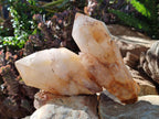 Natural Large Cascading "Anananas" Pineapple Quartz Crystals x 2 From Antsirabe, Madagascar - Toprock Gemstones and Minerals 