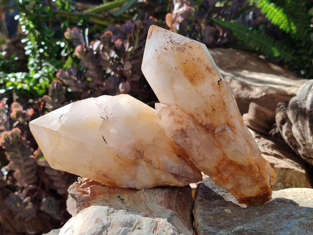 Natural Large Cascading "Anananas" Pineapple Quartz Crystals x 2 From Antsirabe, Madagascar - Toprock Gemstones and Minerals 