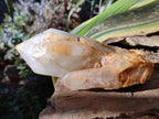 Natural Large Cascading "Anananas" Pineapple Quartz Crystals x 2 From Antsirabe, Madagascar - Toprock Gemstones and Minerals 