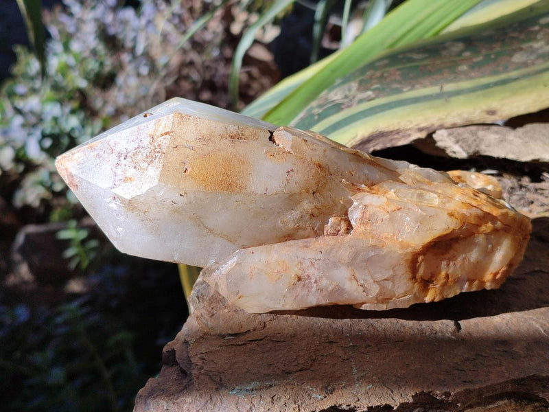 Natural Large Cascading "Anananas" Pineapple Quartz Crystals x 2 From Antsirabe, Madagascar - Toprock Gemstones and Minerals 