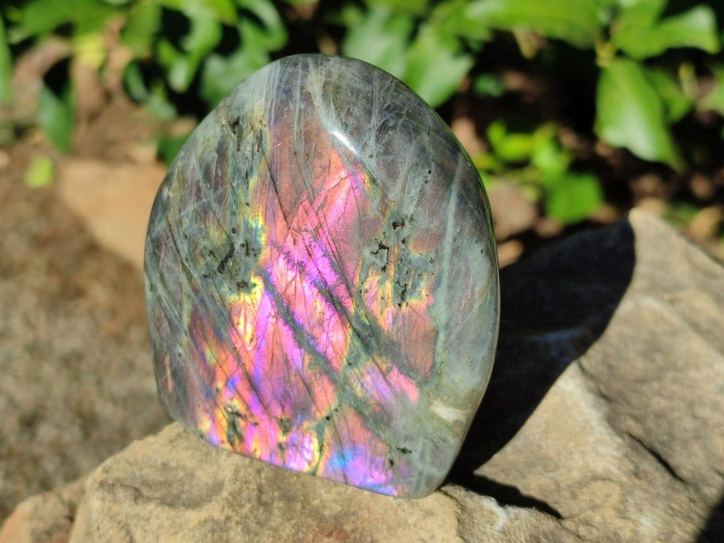 Polished Rare Purple Sunset Flash Labradorite Standing Display Pieces x 6 From Madagascar - Toprock Gemstones and Minerals 