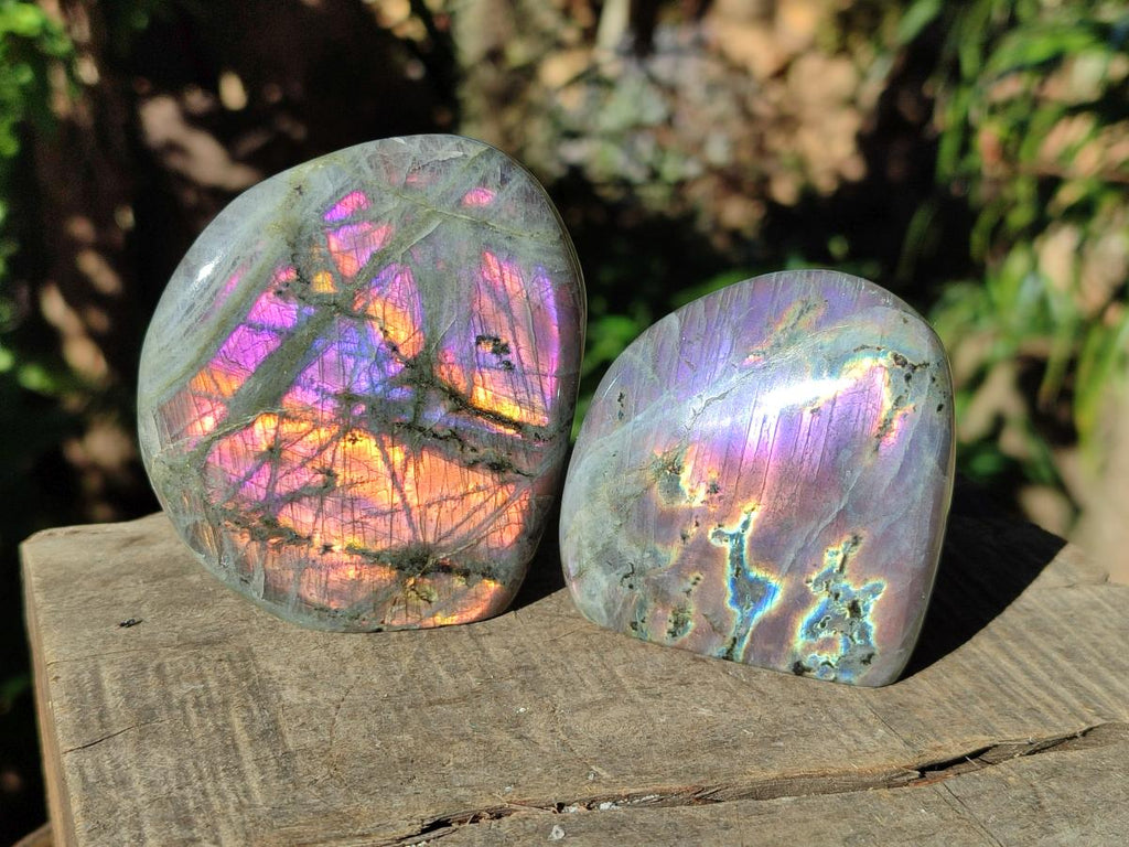 Polished Rare Purple Sunset Flash Labradorite Standing Display Pieces x 6 From Madagascar - Toprock Gemstones and Minerals 