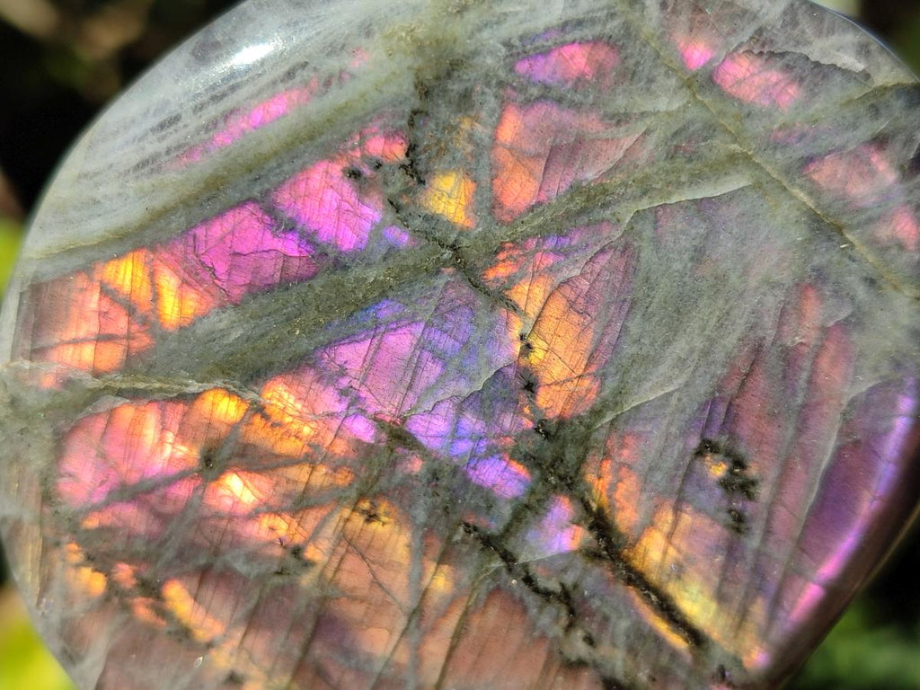Polished Rare Purple Sunset Flash Labradorite Standing Display Pieces x 6 From Madagascar - Toprock Gemstones and Minerals 