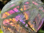 Polished Rare Purple Sunset Flash Labradorite Standing Display Pieces x 6 From Madagascar - Toprock Gemstones and Minerals 
