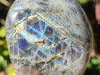 Polished Rare Purple Sunset Flash Labradorite Standing Display Pieces x 6 From Madagascar - Toprock Gemstones and Minerals 