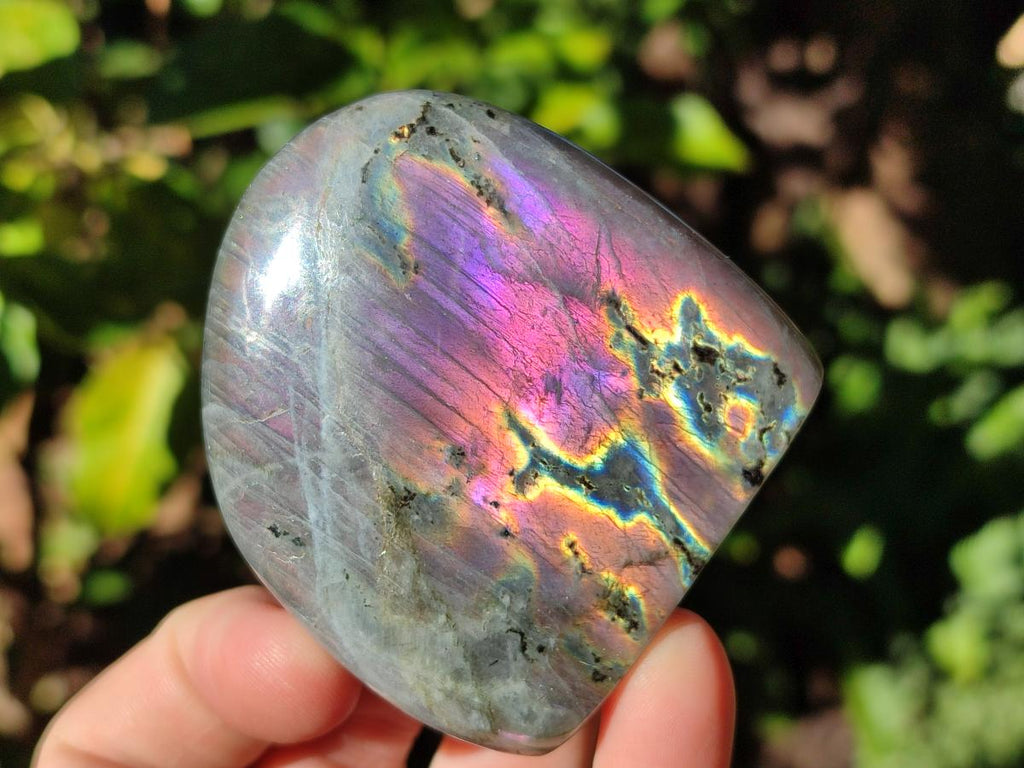 Polished Rare Purple Sunset Flash Labradorite Standing Display Pieces x 6 From Madagascar - Toprock Gemstones and Minerals 