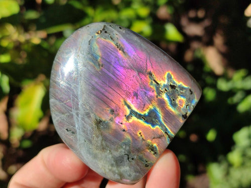 Polished Rare Purple Sunset Flash Labradorite Standing Display Pieces x 6 From Madagascar - Toprock Gemstones and Minerals 
