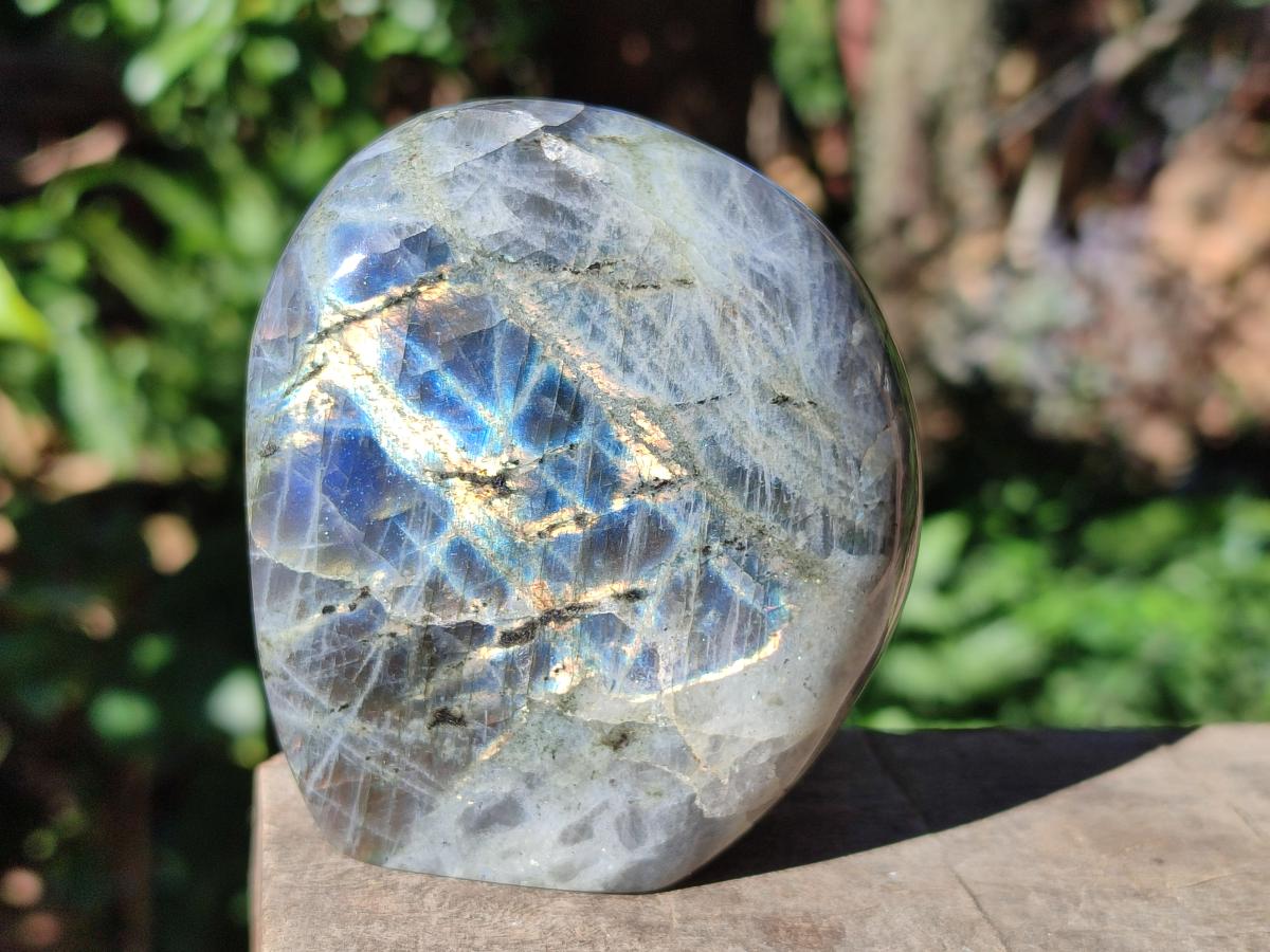 Polished Rare Purple Sunset Flash Labradorite Standing Display Pieces x 6 From Madagascar - Toprock Gemstones and Minerals 
