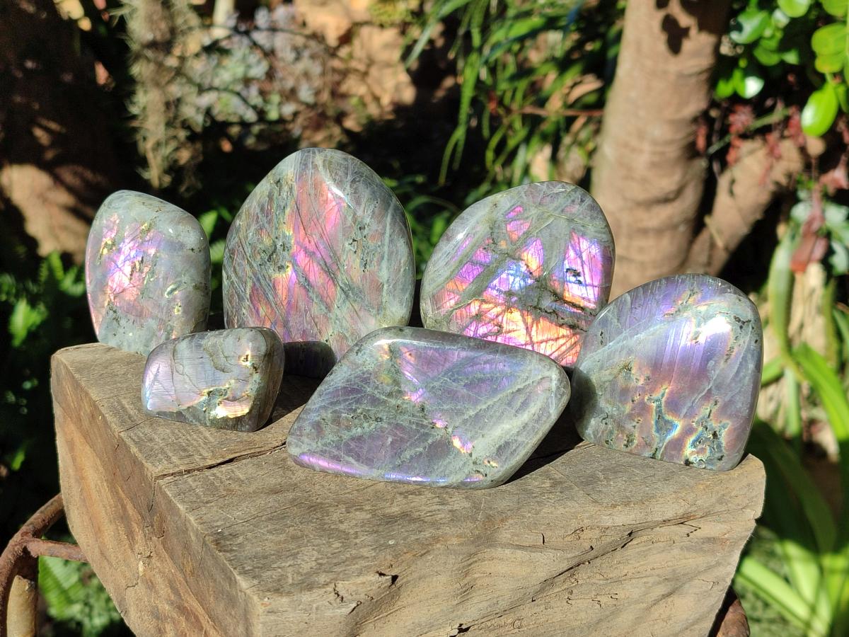 Polished Rare Purple Sunset Flash Labradorite Standing Display Pieces x 6 From Madagascar - Toprock Gemstones and Minerals 