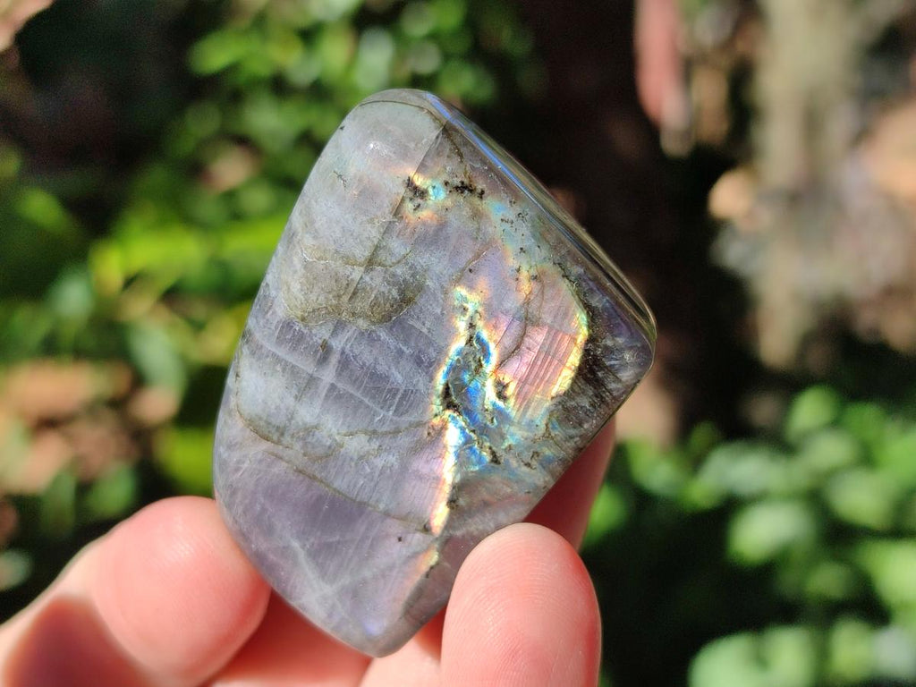 Polished Rare Purple Sunset Flash Labradorite Standing Display Pieces x 6 From Madagascar - Toprock Gemstones and Minerals 