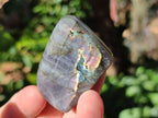 Polished Rare Purple Sunset Flash Labradorite Standing Display Pieces x 6 From Madagascar - Toprock Gemstones and Minerals 