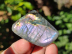 Polished Rare Purple Sunset Flash Labradorite Standing Display Pieces x 6 From Madagascar - Toprock Gemstones and Minerals 