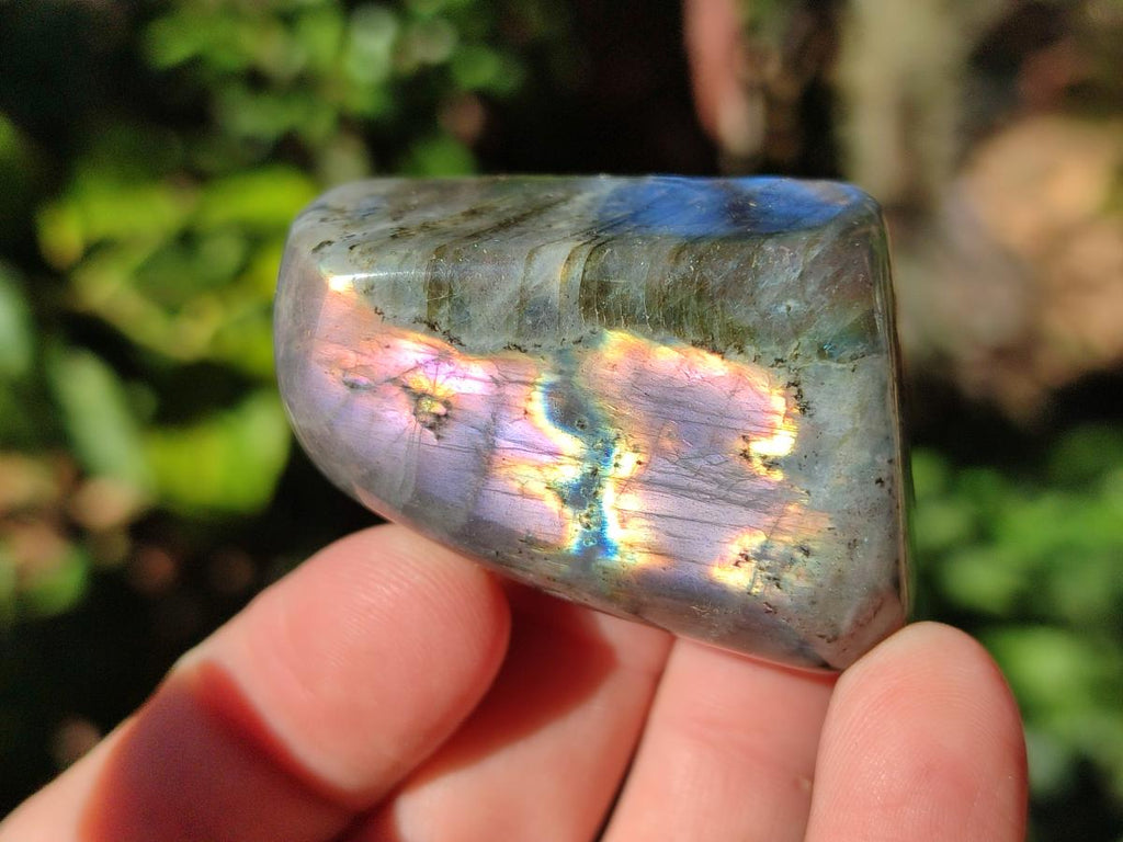 Polished Rare Purple Sunset Flash Labradorite Standing Display Pieces x 6 From Madagascar - Toprock Gemstones and Minerals 