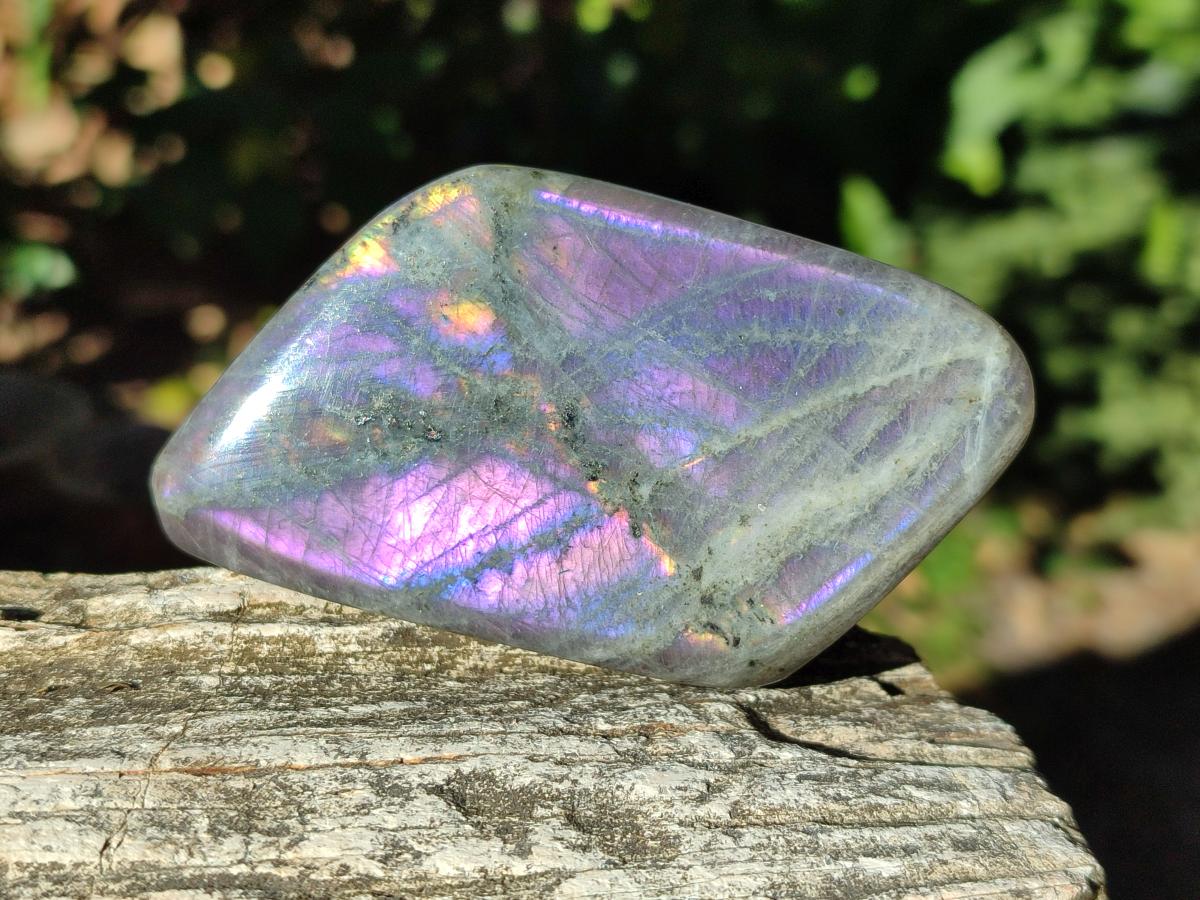Polished Rare Purple Sunset Flash Labradorite Standing Display Pieces x 6 From Madagascar - Toprock Gemstones and Minerals 