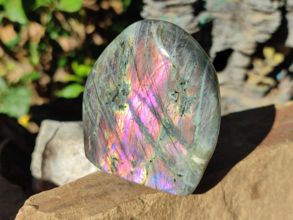 Polished Rare Purple Sunset Flash Labradorite Standing Display Pieces x 6 From Madagascar - Toprock Gemstones and Minerals 