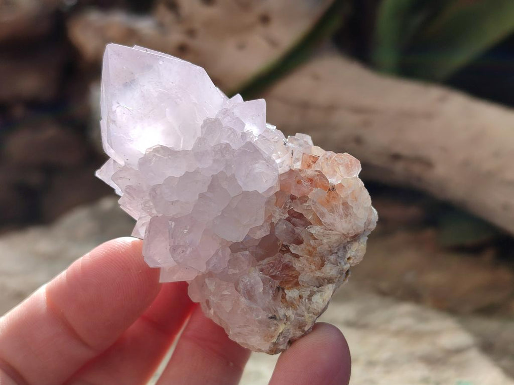 Natural Cactus Flower Pale Lilac Spirit Amethyst Clusters x 12 From South Africa - Toprock Gemstones and Minerals 