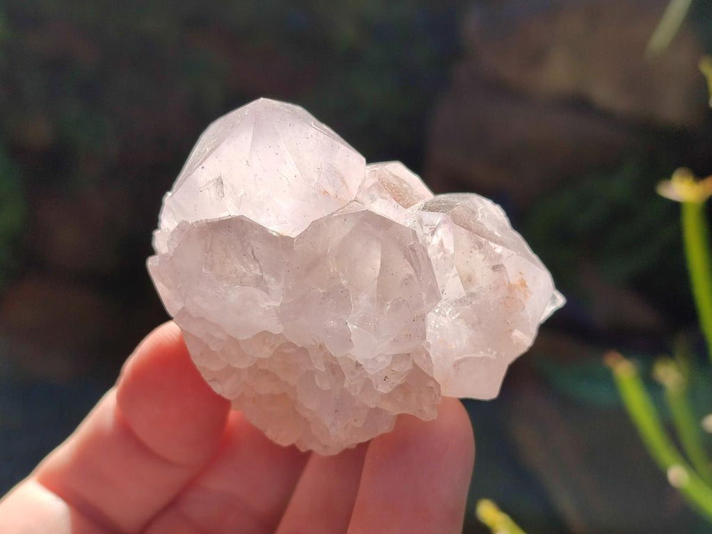 Natural Cactus Flower Pale Lilac Spirit Amethyst Clusters x 12 From South Africa - Toprock Gemstones and Minerals 