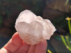 Natural Cactus Flower Pale Lilac Spirit Amethyst Clusters x 12 From South Africa - Toprock Gemstones and Minerals 