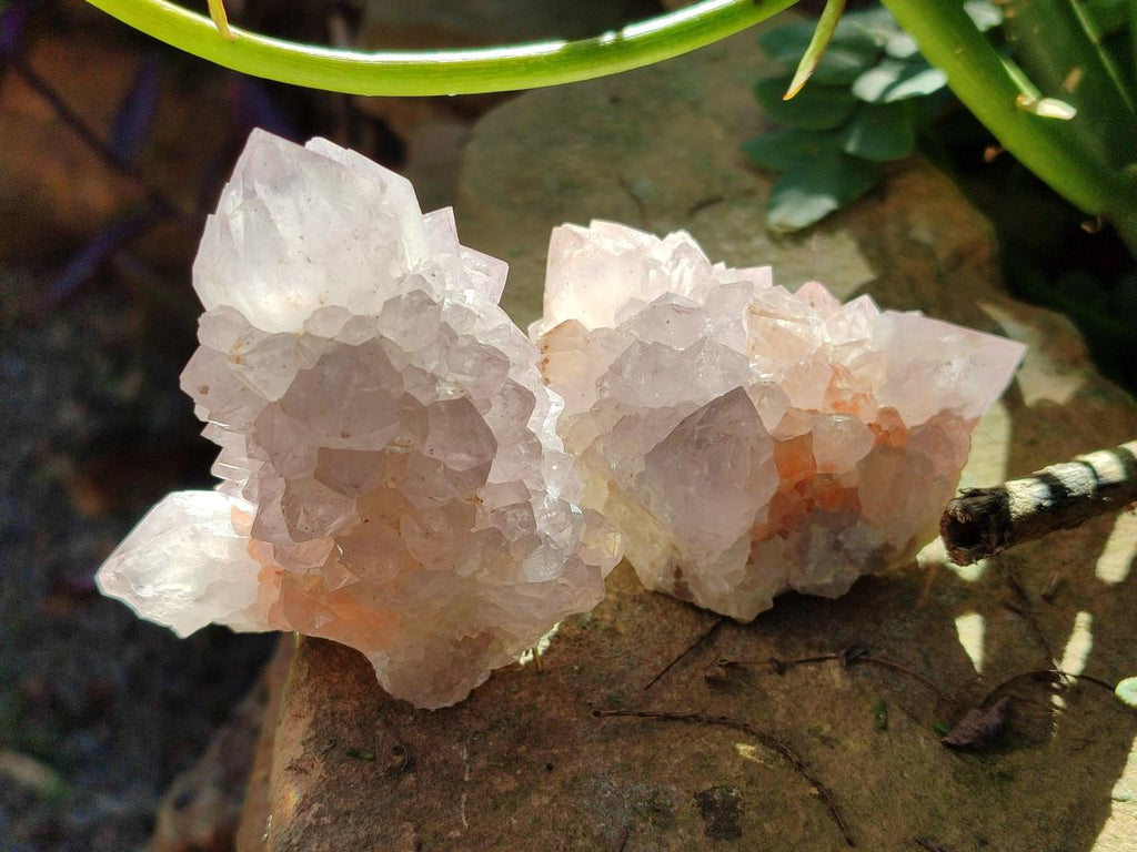 Natural Cactus Flower Pale Lilac Spirit Amethyst Clusters x 12 From South Africa - Toprock Gemstones and Minerals 
