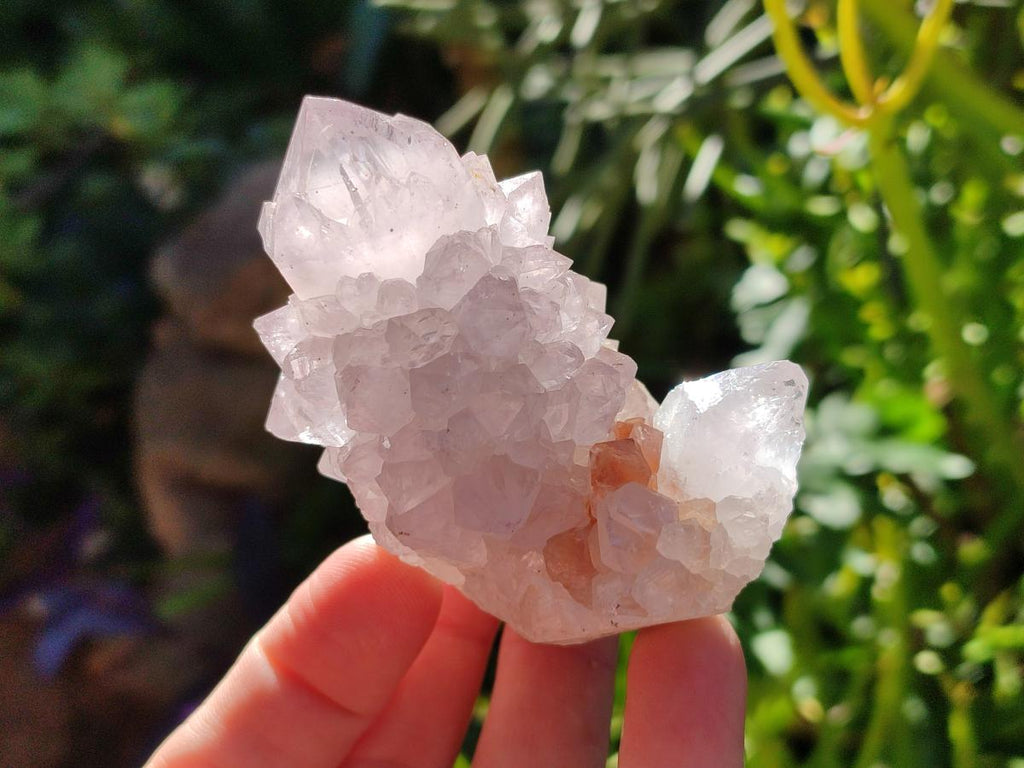 Natural Cactus Flower Pale Lilac Spirit Amethyst Clusters x 12 From South Africa - Toprock Gemstones and Minerals 