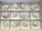 Natural Cactus Flower Pale Lilac Spirit Amethyst Clusters x 12 From South Africa - Toprock Gemstones and Minerals 