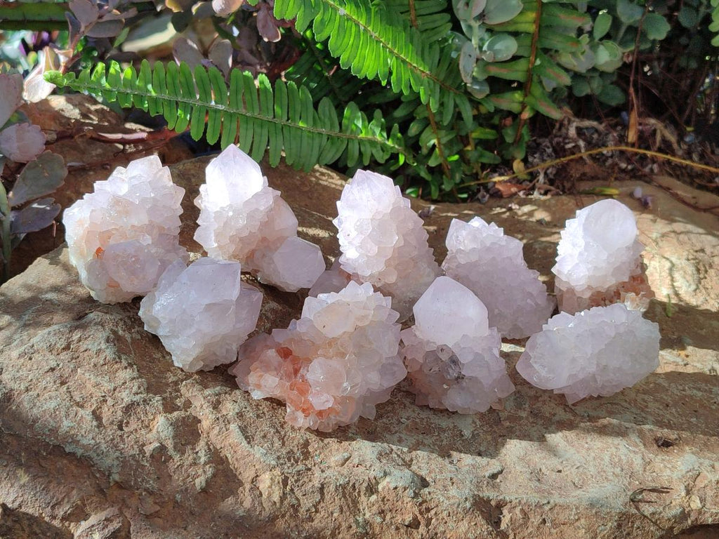 Natural Cactus Flower Pale Lilac Spirit Amethyst Clusters x 12 From South Africa - Toprock Gemstones and Minerals 