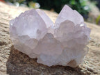 Natural Cactus Flower Pale Lilac Spirit Amethyst Clusters x 12 From South Africa - Toprock Gemstones and Minerals 