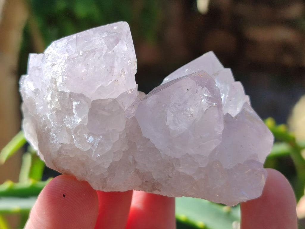 Natural Cactus Flower Pale Lilac Spirit Amethyst Clusters x 12 From South Africa - Toprock Gemstones and Minerals 