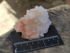 Natural Cactus Flower Pale Lilac Spirit Amethyst Clusters x 12 From South Africa - Toprock Gemstones and Minerals 