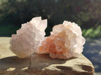 Natural Cactus Flower Pale Lilac Spirit Amethyst Clusters x 12 From South Africa - Toprock Gemstones and Minerals 