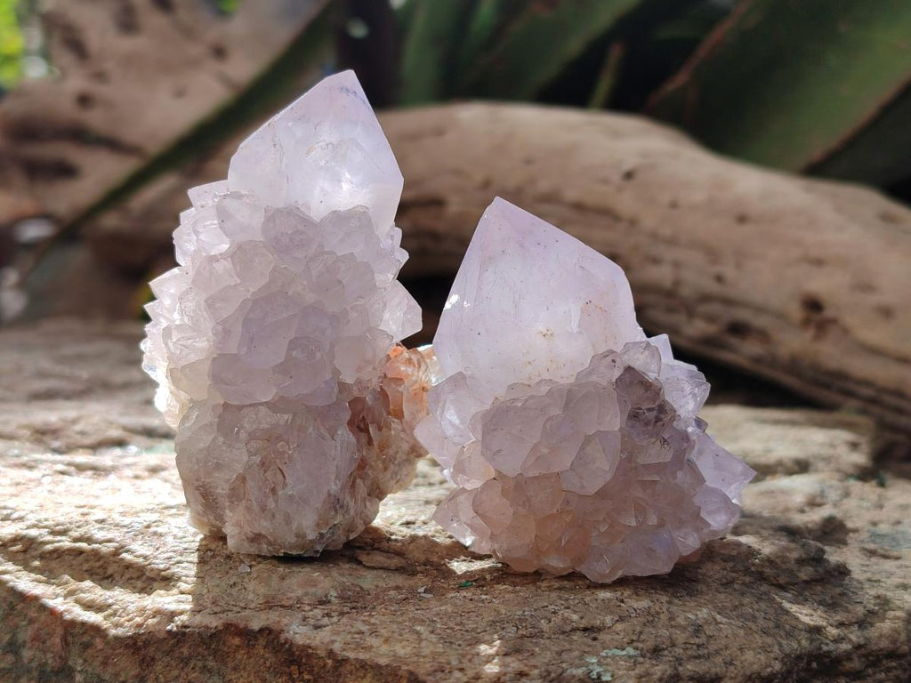 Natural Cactus Flower Pale Lilac Spirit Amethyst Clusters x 12 From South Africa - Toprock Gemstones and Minerals 
